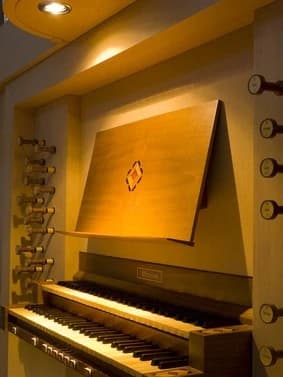 organo_4