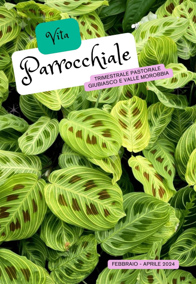 Bollettino del 05 febbraio 2024